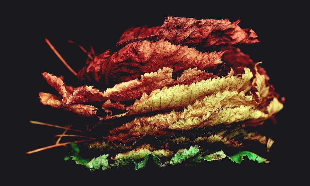 Çin'in "AI Kaplanları" Kopya mı Çekiyor? Anthropic'in İddiaları Sektörü Sarstı